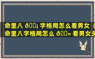 命里八 🐡 字格局怎么看男女（命里八字格局怎么 🌻 看男女关系）